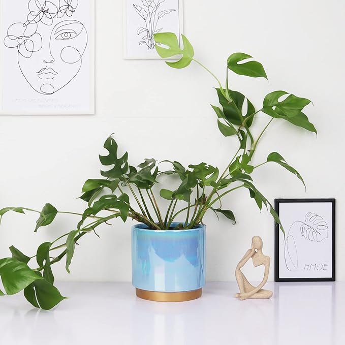 Gepege Ceramic Pots for Plants, Rainbow Pearl Glaze Planter - Image 7