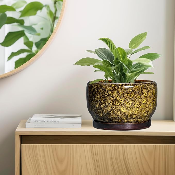 SQOWL 10 Inch Plant Pot - Image 7