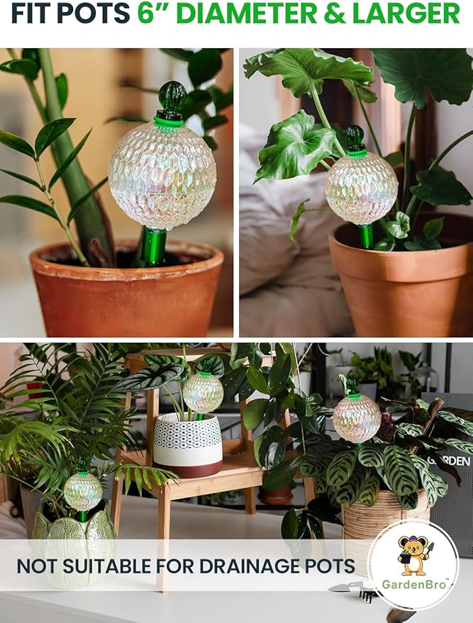 6pcs 16 Oz Plant Watering Globes - Image 5