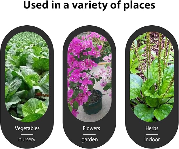 Green Plant labels - Image 6