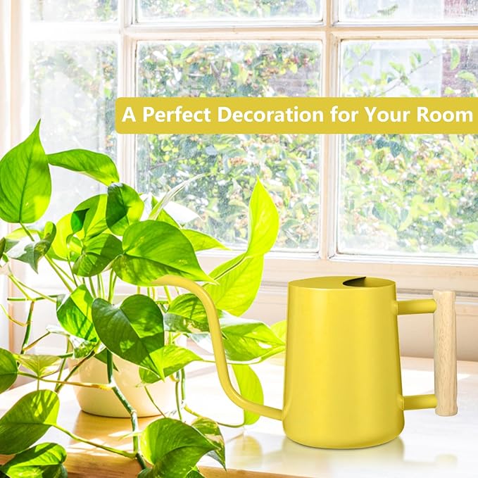 Watering Can Indoor Plants, 35oz Small Stainless Steel Metal Watering Can - Image 4