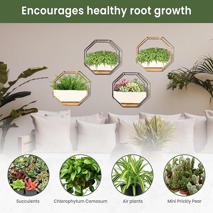 IRYL Wall Planter for Indoor Plants - Image 2