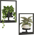 Bamworld Plant Stand Indoor Wall Decor Metal Plant Hanger Indoor Hanging Plant by Bamworld