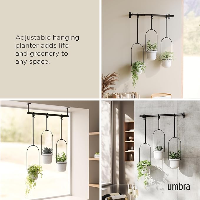 Umbra Triflora Hanging Planter for Window, Indoor Herb Garden - Image 4