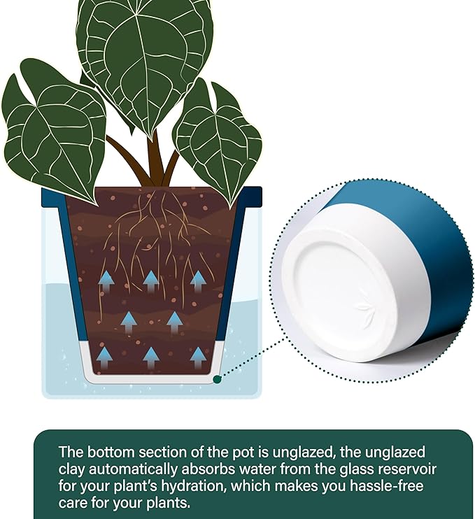 D'vine Dev 6 Inch Design Self Watering Planter - Image 5
