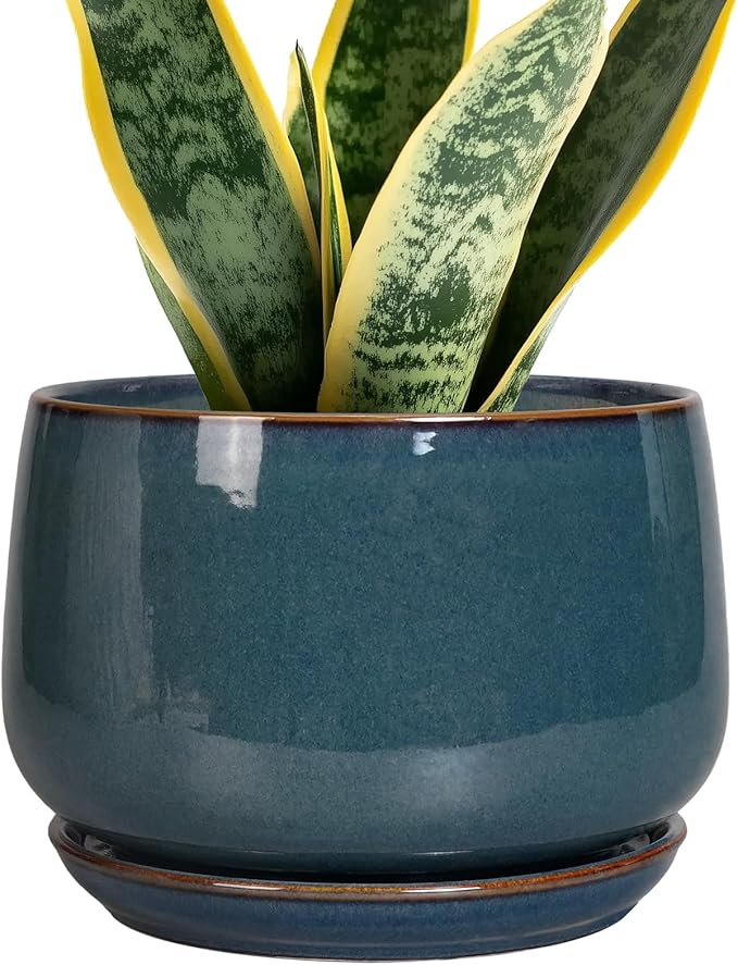 G EPGardening Ceramic Pot for Plants by GEPGardening