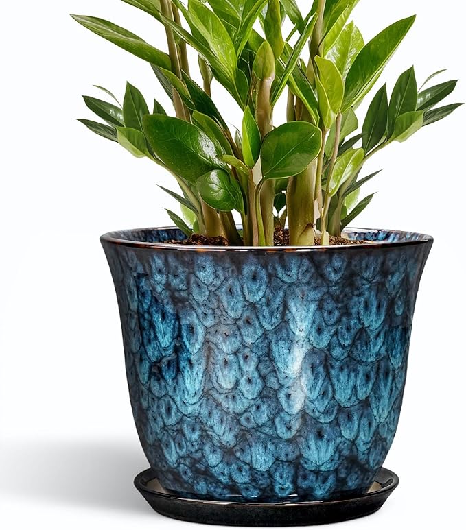 10 Inch Plant Pot by SUNPOTFOR