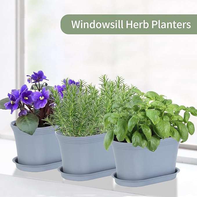 Windowsill Herb Garden Planter - Image 7