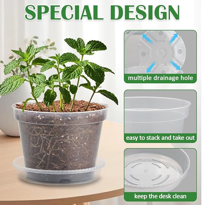 9 Pack 8/7/6 Inch Clear Nursery Pots - Image 3