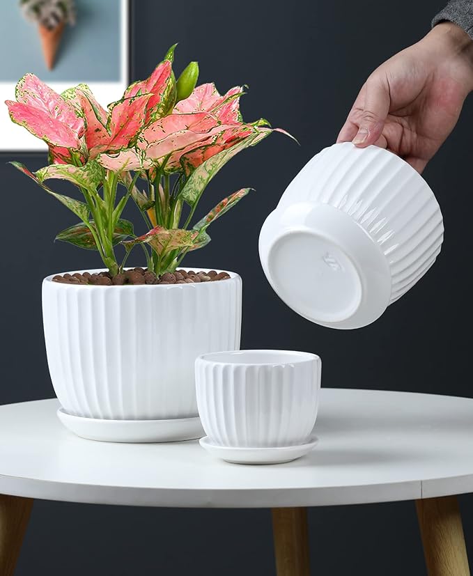 Ton Sin White Plant Pots Set of 3, Indoor Ceramic Flower Pot - Image 5
