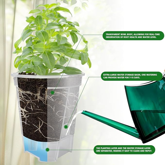 Cdd's Path Large Naked Root Planter Self Watering Pots Set - Image 3