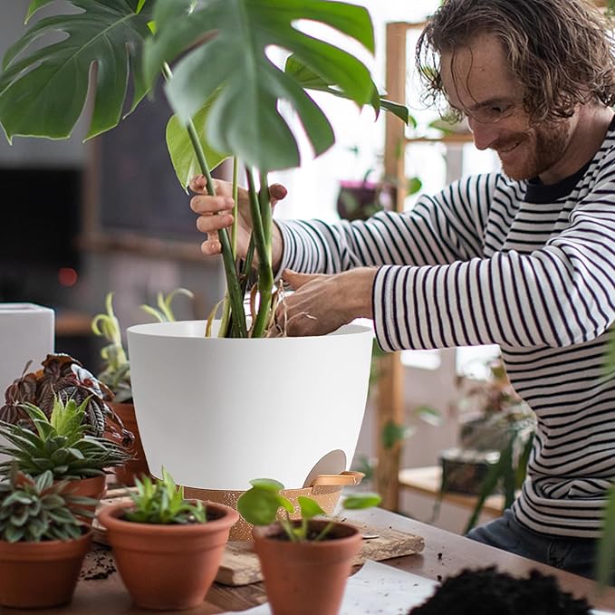 Plant Pots, 12+10+9 Inch Self Watering Pots - Image 5