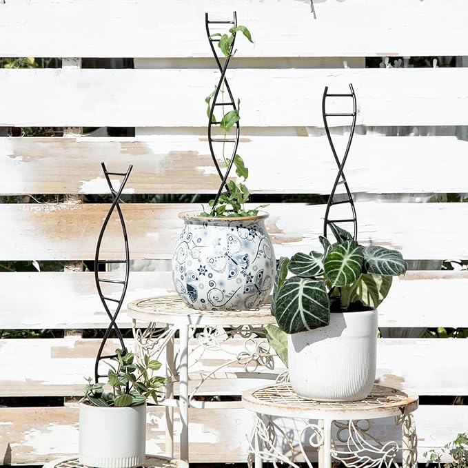 DNA Spiral Plant Trellis Indoor - Image 6