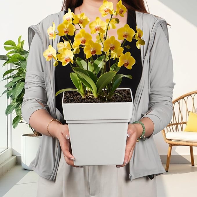 6-Pack 7 Inch Square Planters - Image 6