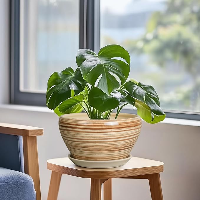 Indoor Planter 9 Inch - Image 4