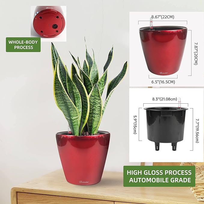 Dexceder 9x8 Inches High Gloss Self Watering Planter Indoor Outdoor, Inner Pot - Image 3
