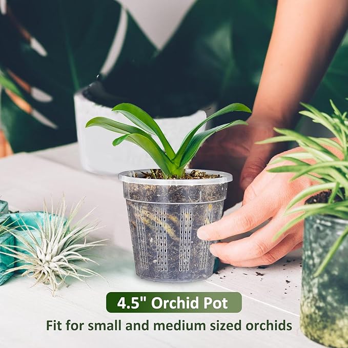 Orchid Pot, 6 Packs of 4.3" Orchid Pots - Image 2
