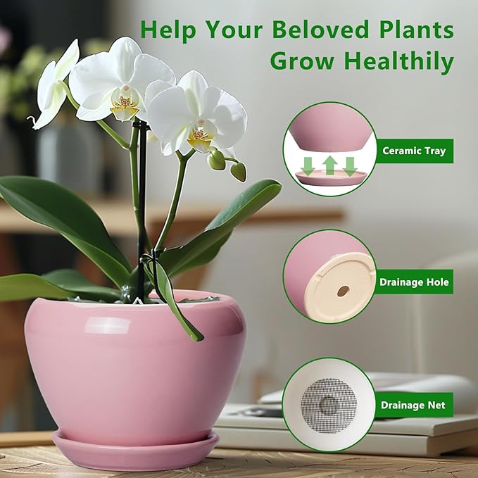 10 Inch Plant Pot - Image 5