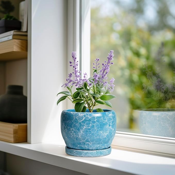 SQOWL 6 Inch Plant Pot - Image 2