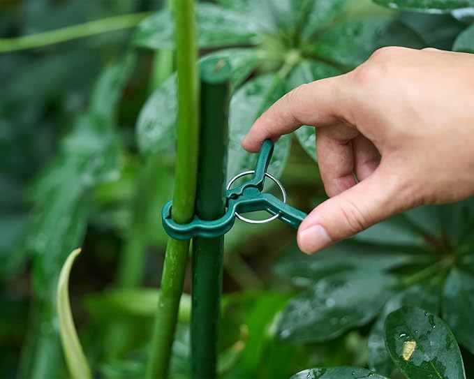 Garden Plant Clips 50 Pack Big Size Dark Green, Reusable Garden Plant Supports - Image 3