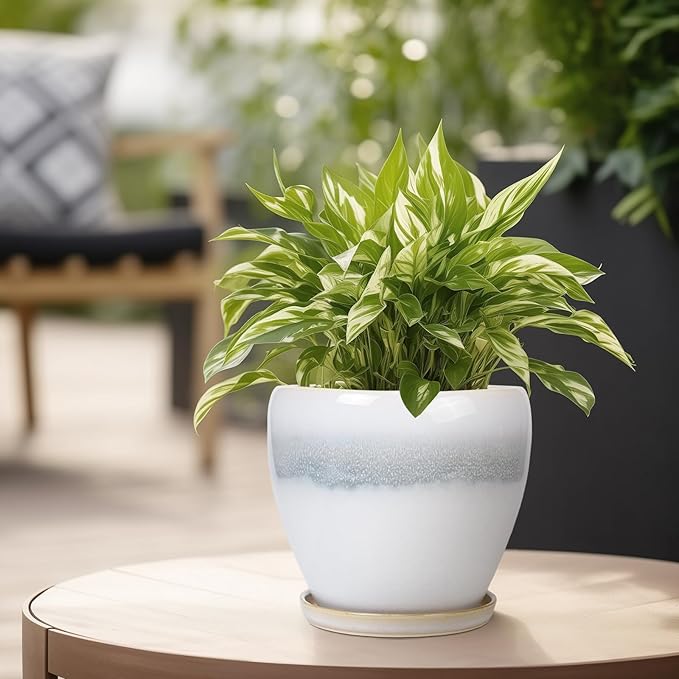 6.3 Inch Plant Pot - Image 4