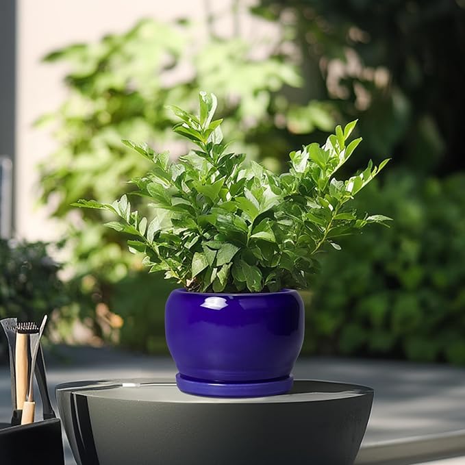 SQOWL Ceramic Planters for Indoor Plants - Image 4