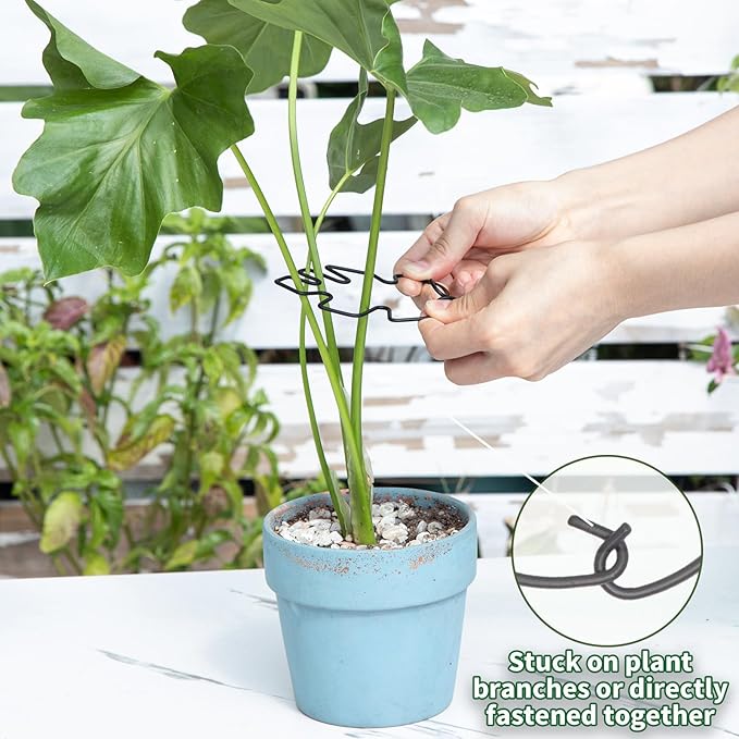 Monstera Plant Stem Support Set - Image 4