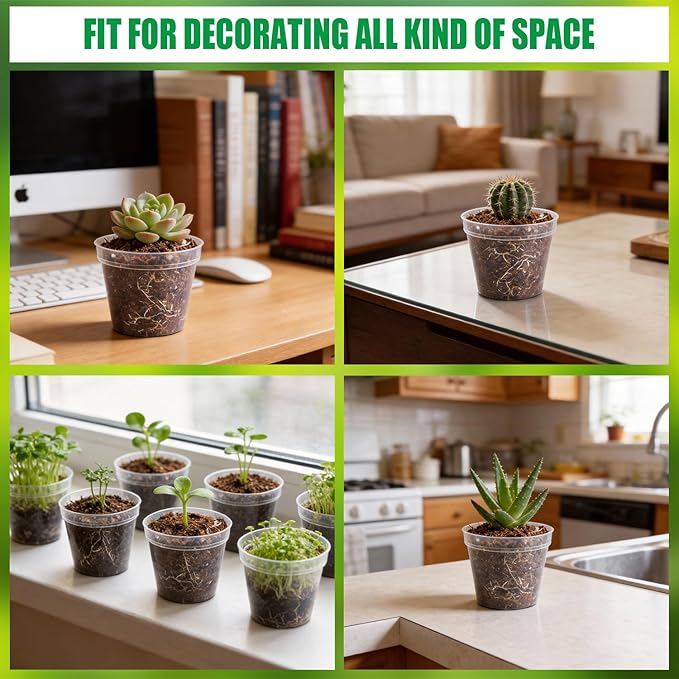 BTPLASTIK 200 Pack 2.5 Inch Clear Nursery Pots - Image 6