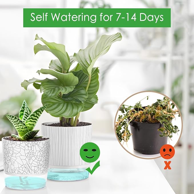 4 Pack Self Watering Pots for Indoor Plants, Plant Pots for African Violet - Image 5