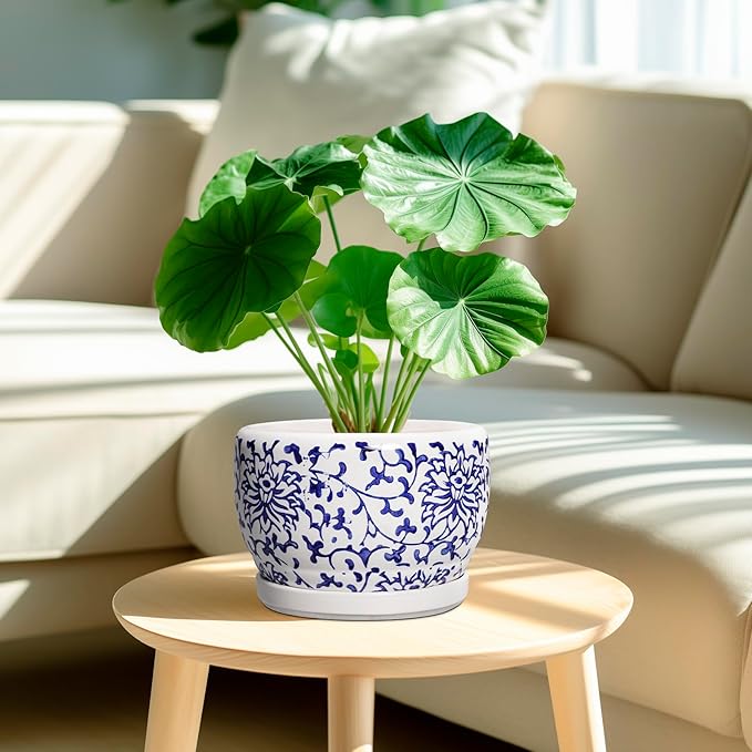 SQOWL Ceramic Pots for Plants - Image 2