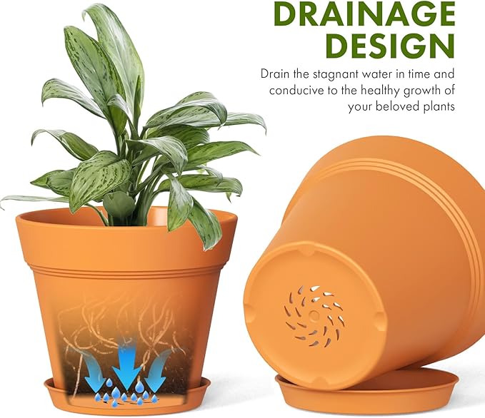 4 Inch Plastic Plant Pots with Drainage Holes and Trays – 8 Pack Small Nursery - Image 4