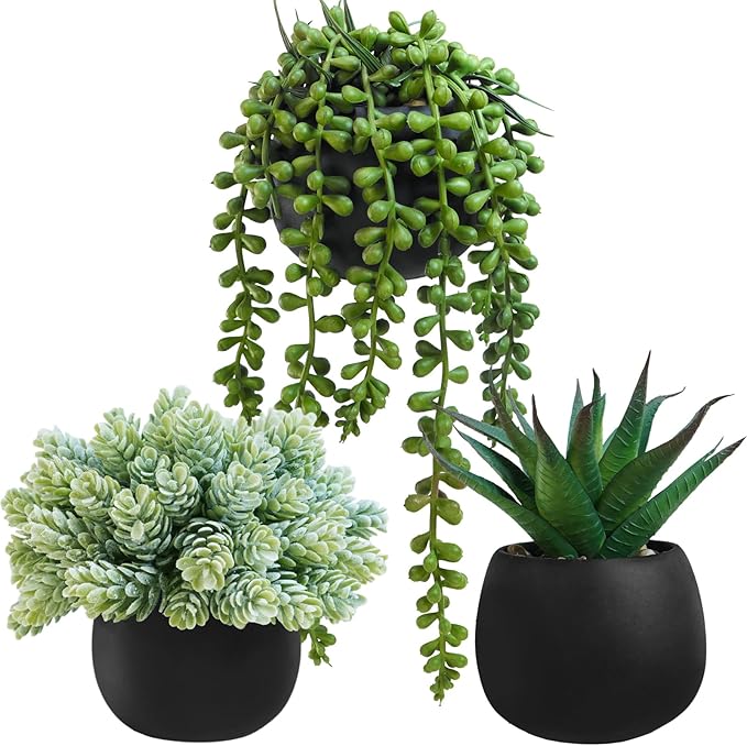Winlyn Set of 3 Artificial Succulent Plants in Black Concrete Pots Faux Aloe by Winlyn