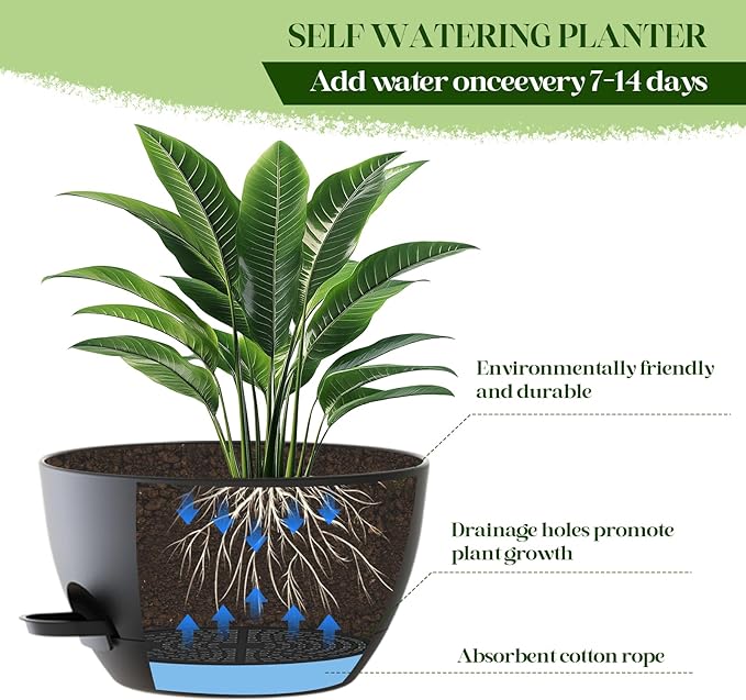 2 Pack 10 Inch Self Watering Hanging Planters - Image 6