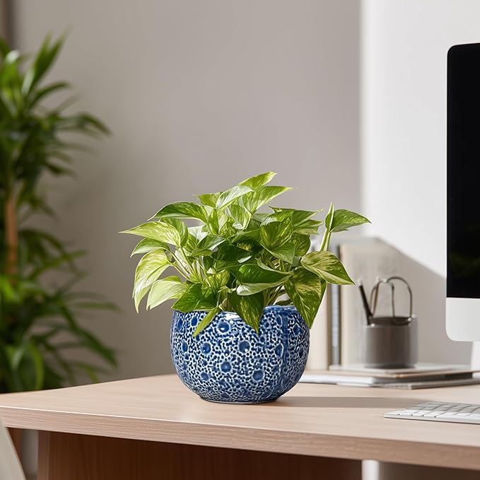 Orchid Pot - 6 Inch Ceramic Plant Pot - Image 8