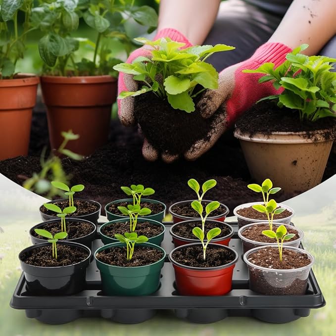 12 Cell Round Nursery Pot Trays Thickened Durable Seedling Pots Shuttle - Image 5