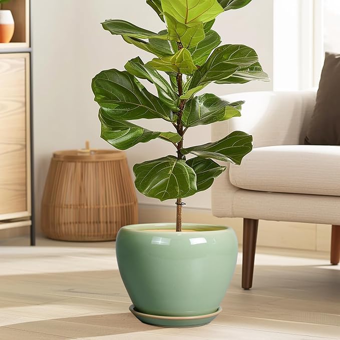 8 Inch Plant Pot - Image 2
