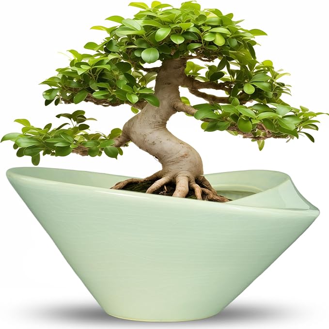 Ceramic Bonsai Pots by Teagas