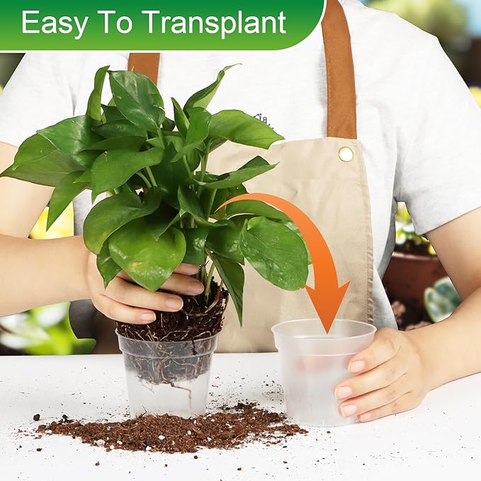 40 Pack 3.3 Inch Clear Nursery Pots - Image 5