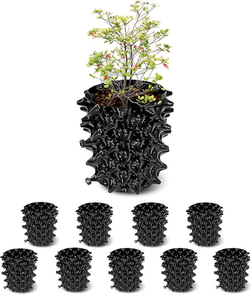 1 Gallon Air Pruning Containers, New Plastic Nursery Pots, Fruit Vegetable by RooTrimmer