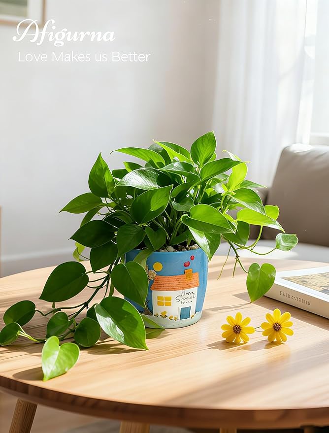 New Home Gift Ideas: New Home Apartment Plant Gift - Image 2