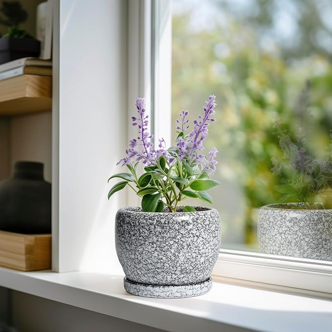 SQOWL Ceramic Pot for Plants - Image 2