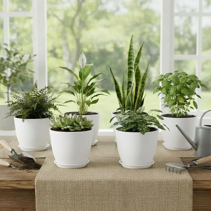 Plant Pots 8 Inch Set of 6, Flower Pots - Image 7