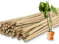 50Pcs / 3ft Bamboo Plant Stakes by Avalution