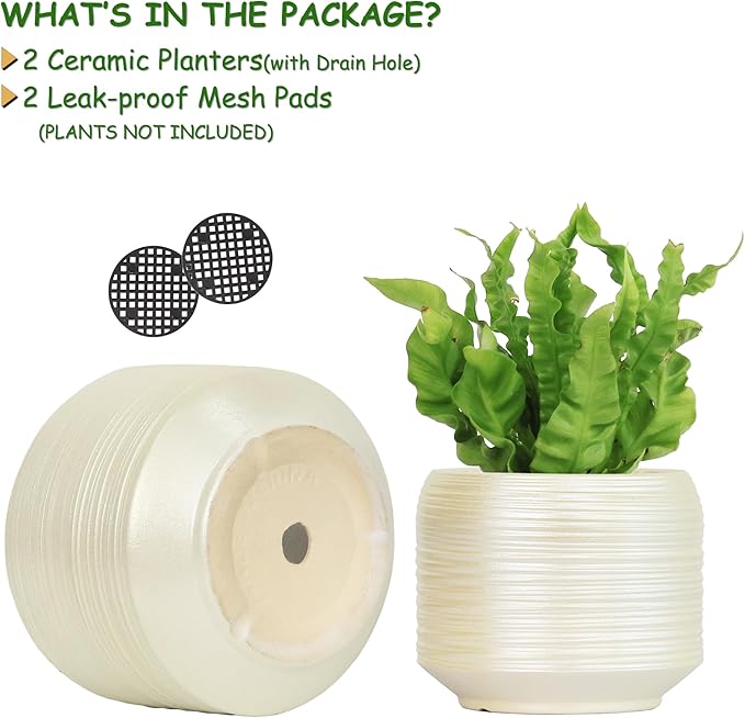 8 Inch + 6 Inch Ceramic Plant Pots Indoor - Image 2