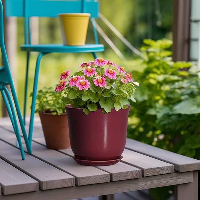 Ceramic Pots for Plants - Image 4