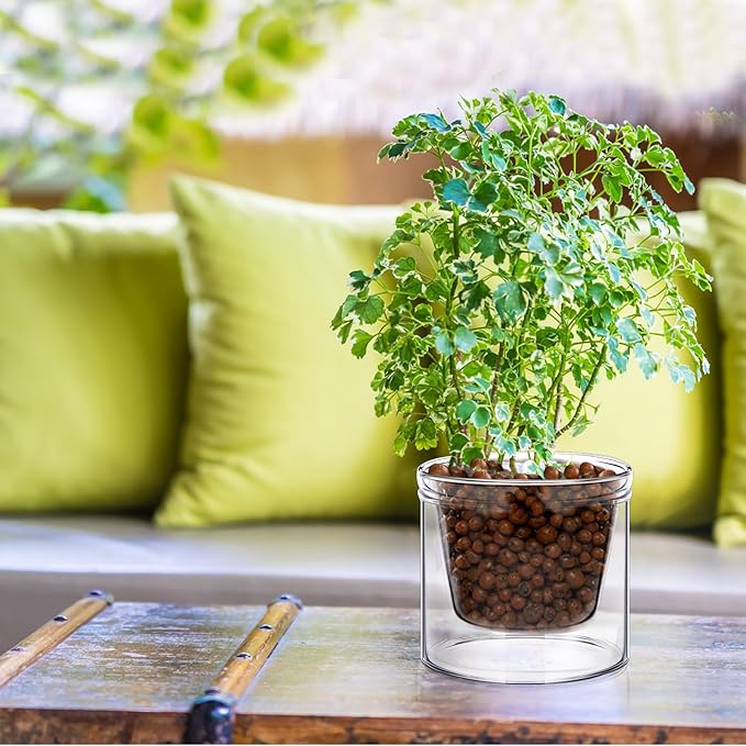Baderke 2 Pcs 4 Inch Self Watering Pot - Image 6