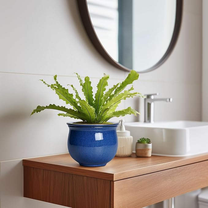 6 Inch Self Watering Pots, Ceramic African Violet Planter - Image 5