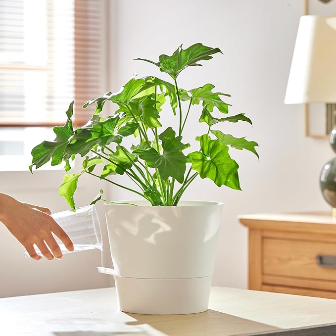 FaithLand 2-Pack 10 Inch Planter Pots - Image 6