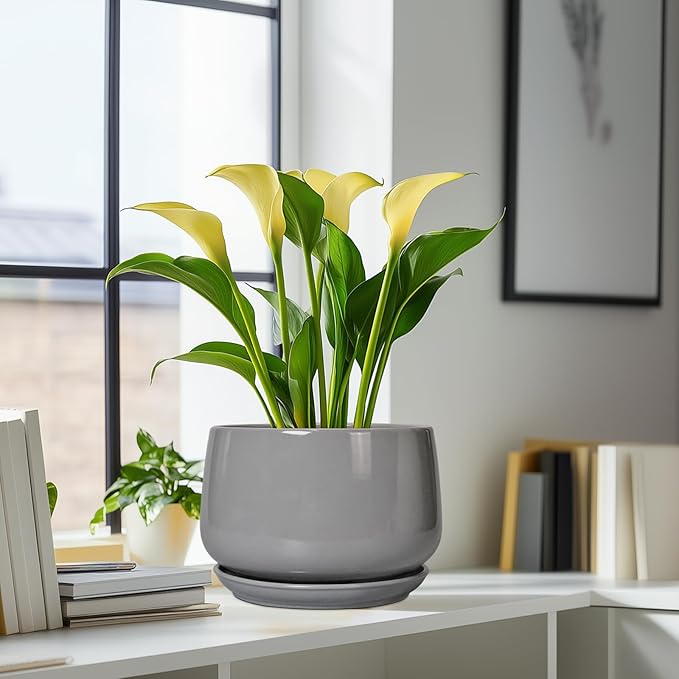 G EPGardening Ceramic Plant Pots - Image 8