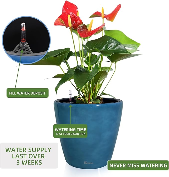 Dexceder 15x14 Self Watering Planter - Image 5